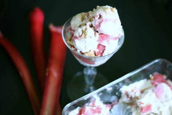 rhubarb crisp ice cream 3