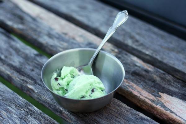 mint chip ice cream